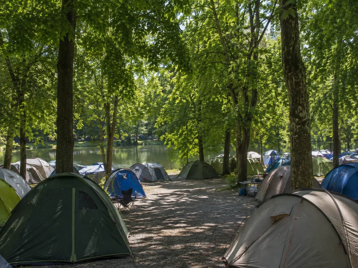 Kampeerterrein onder hoge loofbomen, zonnevlekken op een grindpad, tenten in rijen tussen de stammen, een rustige vijver op de achtergrond