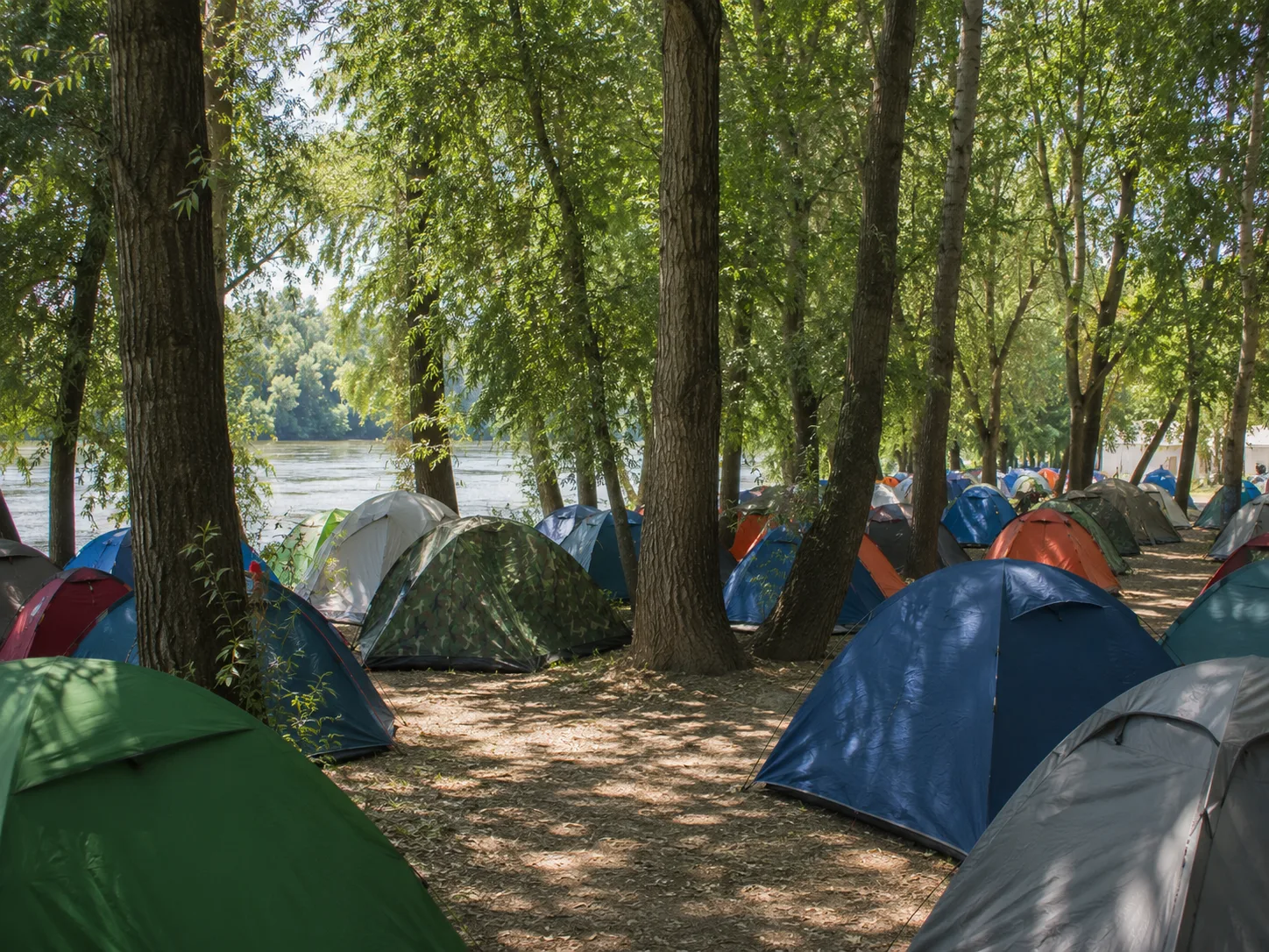 Kampeerterrein onder hoge populieren en wilgen op een riviereiland, lichtvlekken op stoffige grond, een brede rivier zichtbaar tussen de stammen